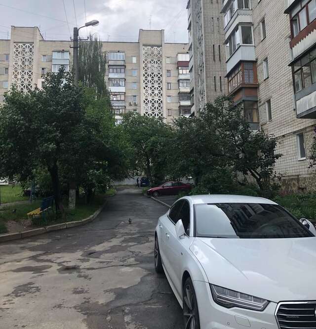 Апартаменты Family apartment on Shevchenko street Винница-28